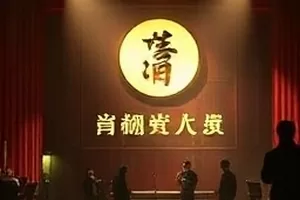 纪录片候鸟航线封面：湿地浅滩上起飞的一群候鸟